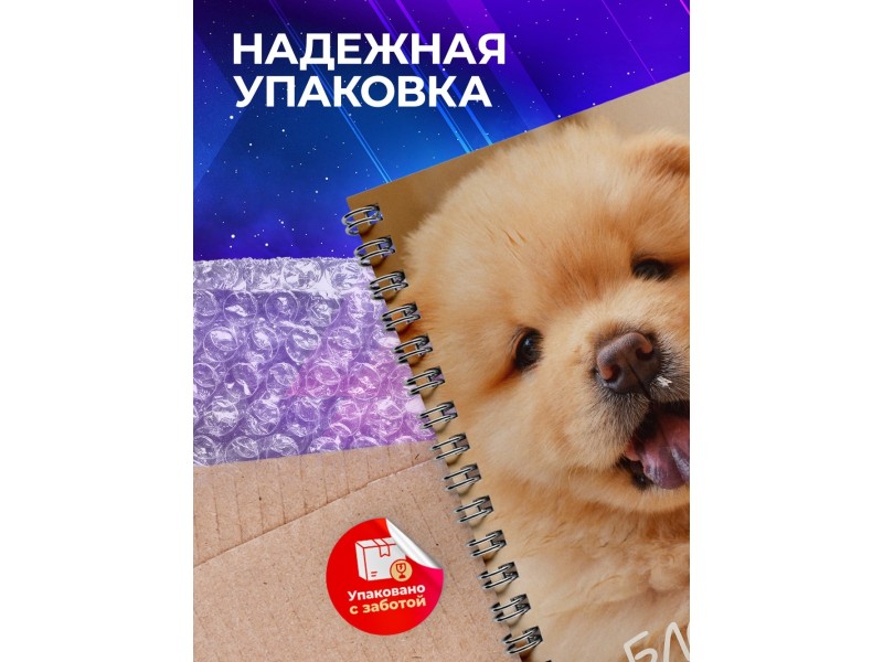 Блокнот Собака / Шпиц