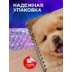 Блокнот Собака / Шпиц