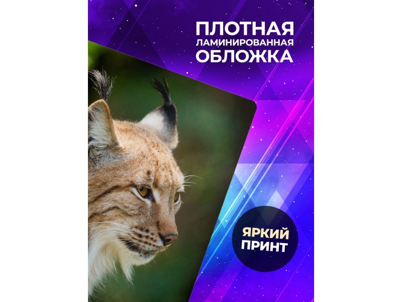 Блокнот Рысь /Дикая кошка
