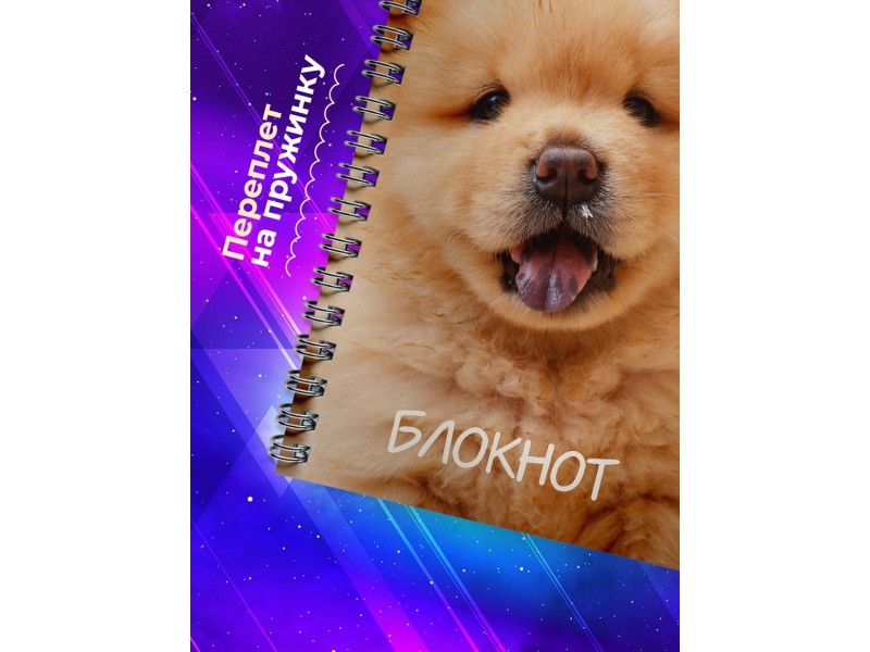 Блокнот Собака / Шпиц