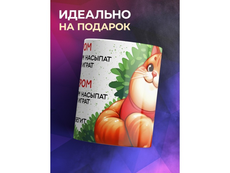 Кружка Прикольная. Режим дня. Кот