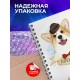 Блокнот Милый корги мальчик