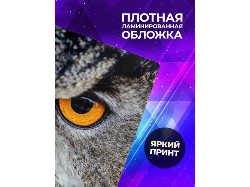 Блокнот Совиный взгляд