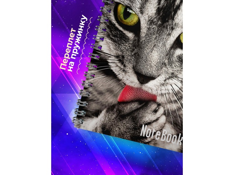 Блокнот Кошачий взгляд