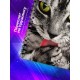 Блокнот Кошачий взгляд