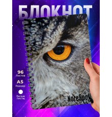 Блокнот Совиный взгляд
