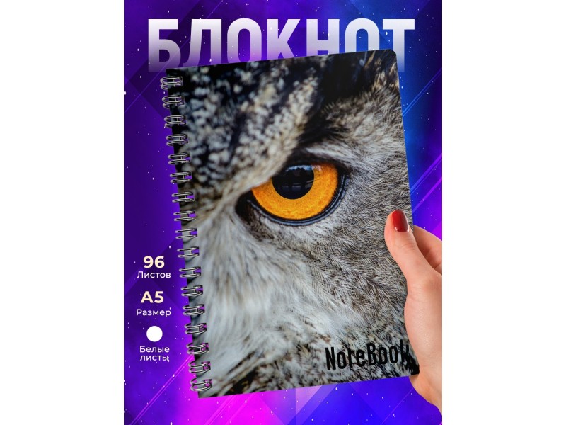 Блокнот Совиный взгляд