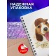 Блокнот Милый бассет-хаунд