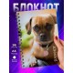 Блокнот Собака / Щенок