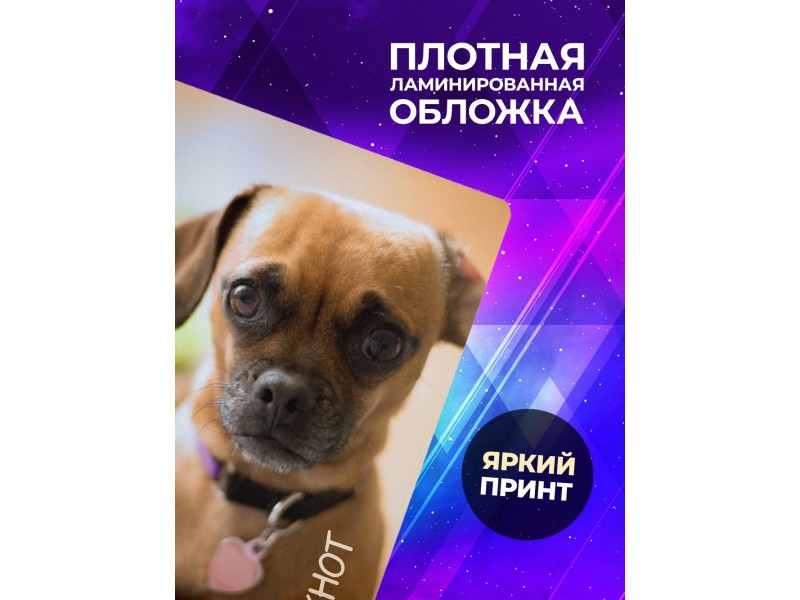 Блокнот Собака / Щенок