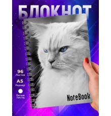 Блокнот Кошка / Недовольный кот