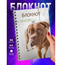 Блокнот Амстафф