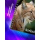 Блокнот Рысь /Дикая кошка