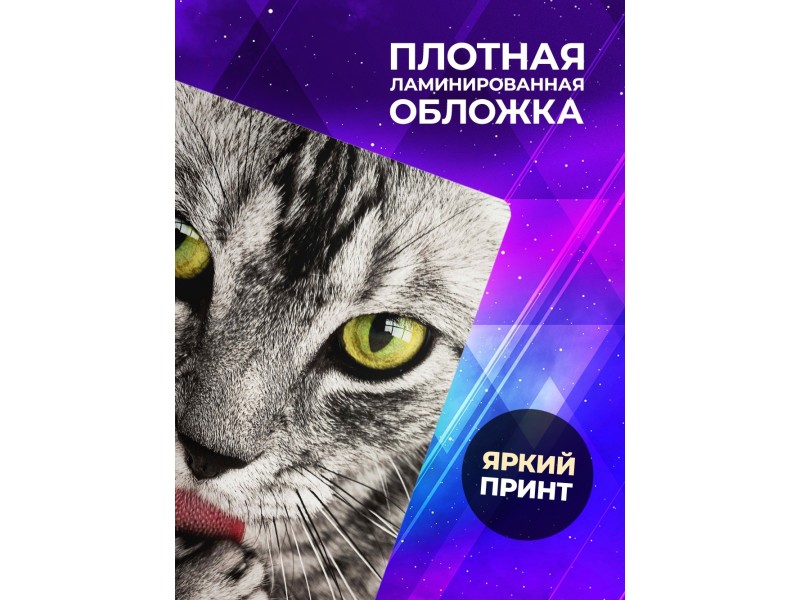 Блокнот Кошачий взгляд