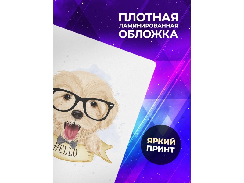 Блокнот Милый мальтипу мальчик
