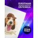 Блокнот Милый бассет-хаунд