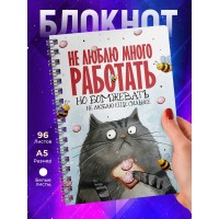 Блокнот Прикольный / Не люблю много работать