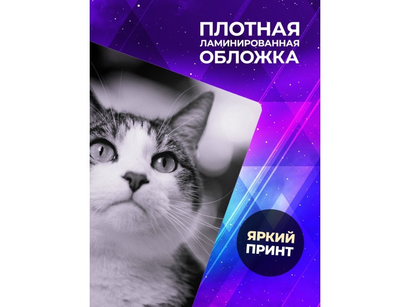Блокнот Кошка