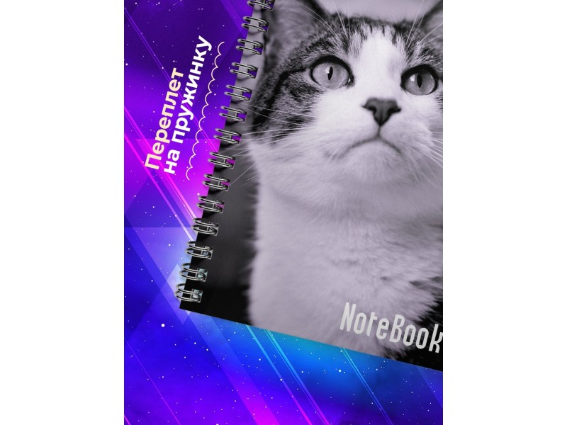 Блокнот Кошка