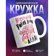 Кружка У меня дома важные дела