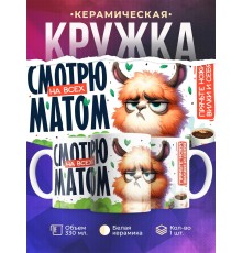 Кружка Прикольная / Смотрю на всех матом