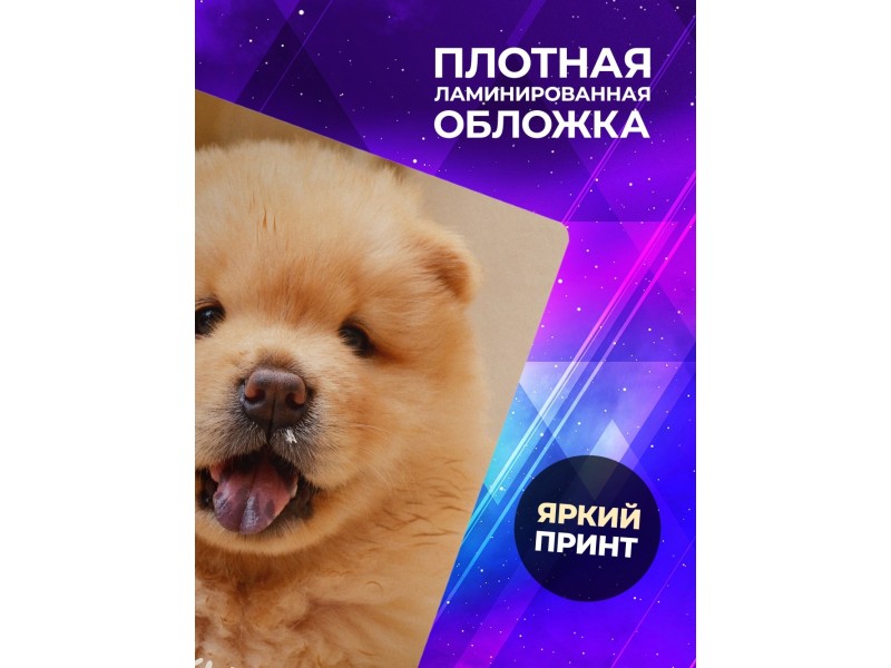 Блокнот Собака / Шпиц