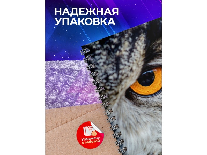 Блокнот Совиный взгляд