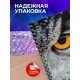 Блокнот Совиный взгляд