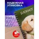 Блокнот Блокнот Щенок / Собака