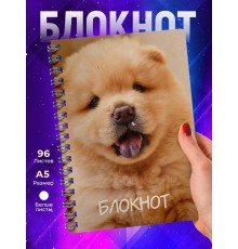 Блокнот Собака / Шпиц