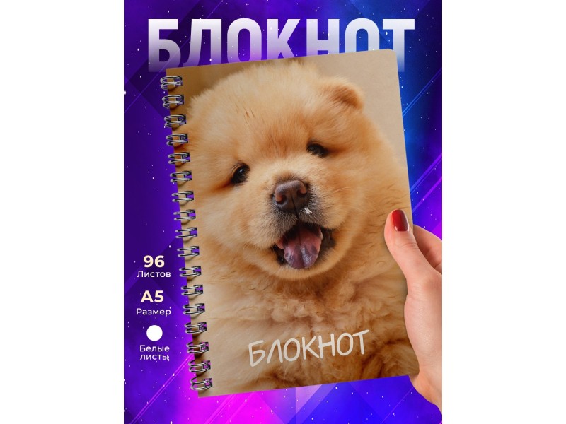 Блокнот Собака / Шпиц