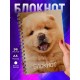 Блокнот Собака / Шпиц