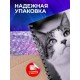 Блокнот Кошка