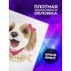 Блокнот Милый спаниель кинг чарльз девочка