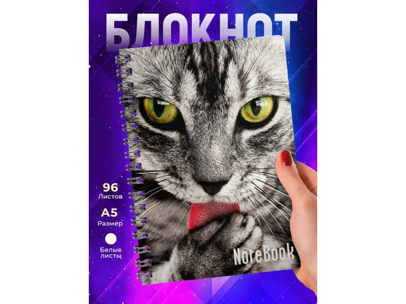 Блокнот Кошачий взгляд